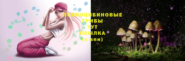 тгк Алексеевка