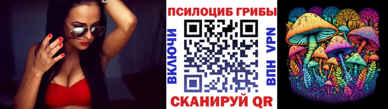 продажа наркотиков  Ярославль  Псилоцибиновые грибы MAGIC MUSHROOMS 